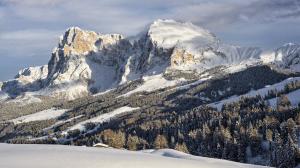 Alpe di Siusi 2014-02-11 146