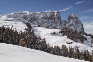 Alpe di Siusi 2014-02-12 163