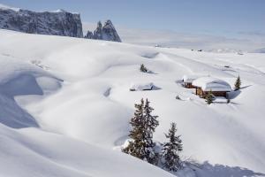 Alpe di Siusi 2014-02-14 237
